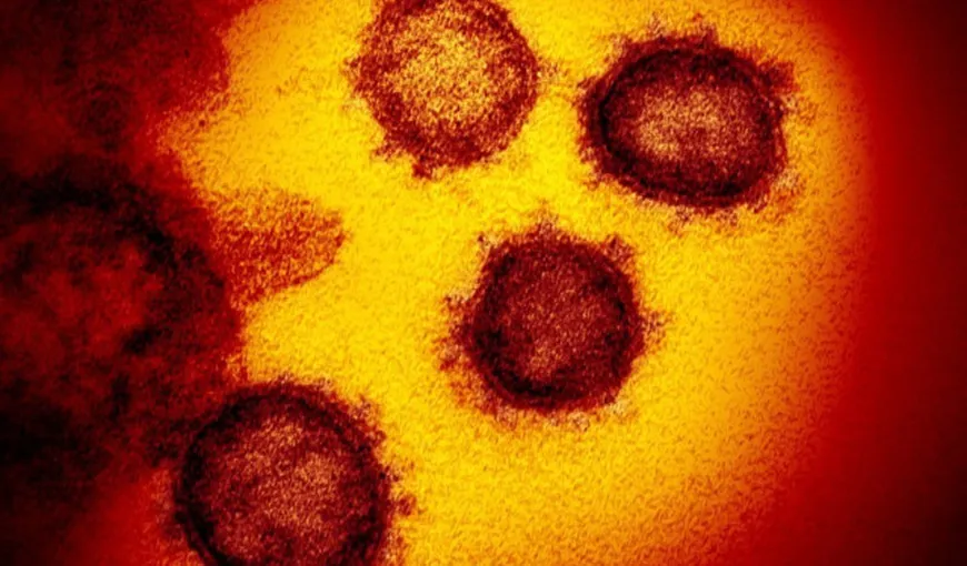 Institutul Cantacuzino are informaţii despre tipul de coronavirus care circulă în România. Este diferit faţă de tulpina de la Wuhan