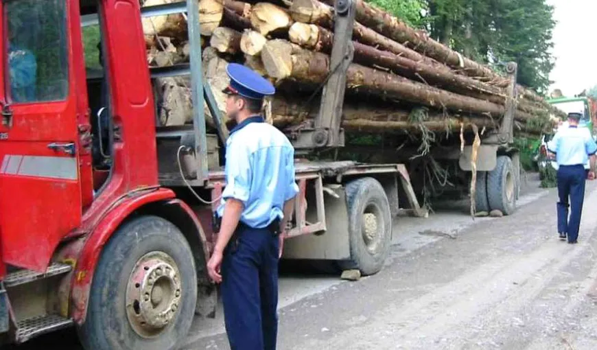 Costel Alexe: „Peste 3.600 de transporturi de lemn verificate între 4 şi 26 aprilie. Mi se pare puţin”