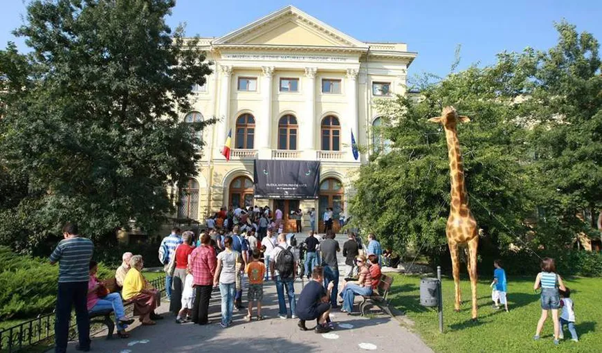 Noi reguli pentru activităţile culturale: Vizita la muzeu doar 2 ore, sunt interzise lansările de carte