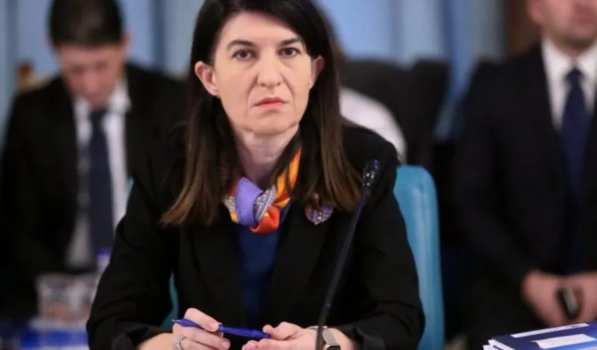 Violeta Alexandru, audiată la Parlament pe tema românilor plecaţi la muncă în străinătate: E dreptul lor să-şi negocieze contractul