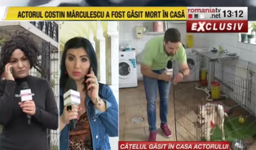 Ce se întâmplă cu Max, câinele lui Costin Mărculescu VIDEO