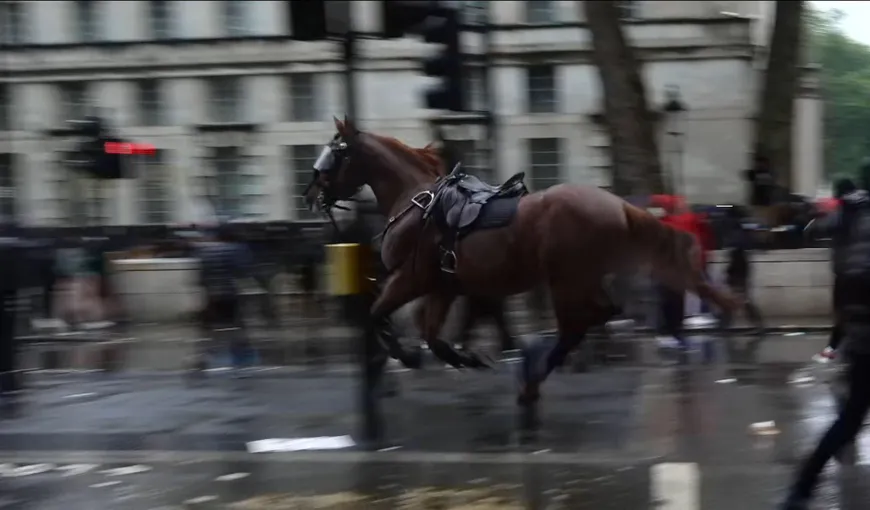 Haos la Londra, la protestele pentru George Floyd. Imagini greu de privit, manifestanţi aruncă în caii poliţiei cu biciclete VIDEO