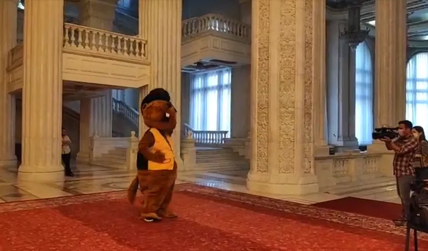 Un „castor” a protestat în Parlament. Care este motivul acţiunii inedite