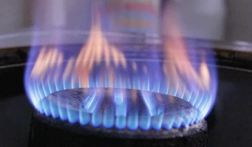 Ministrul Economiei: Preţul la gaze în urma liberalizării va fi mai mic decât preţul din momentul acesta