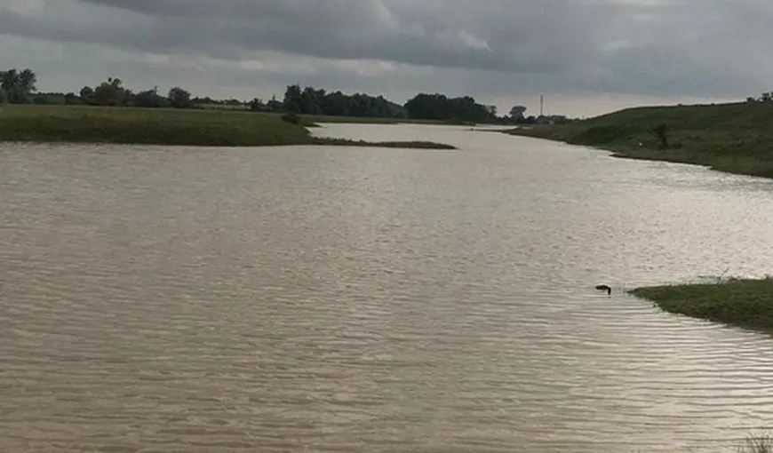 Imaginile zilei. Localităţi măturate de apă după ce un dig s-a rupt în Lugoj VIDEO
