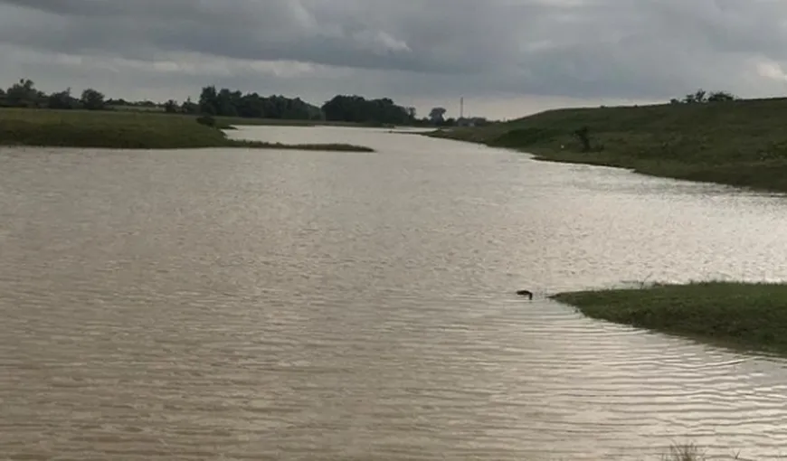 COD ROŞU şi PORTOCALIU de inundaţii în România. Peste 30 de judeţe sunt vizate