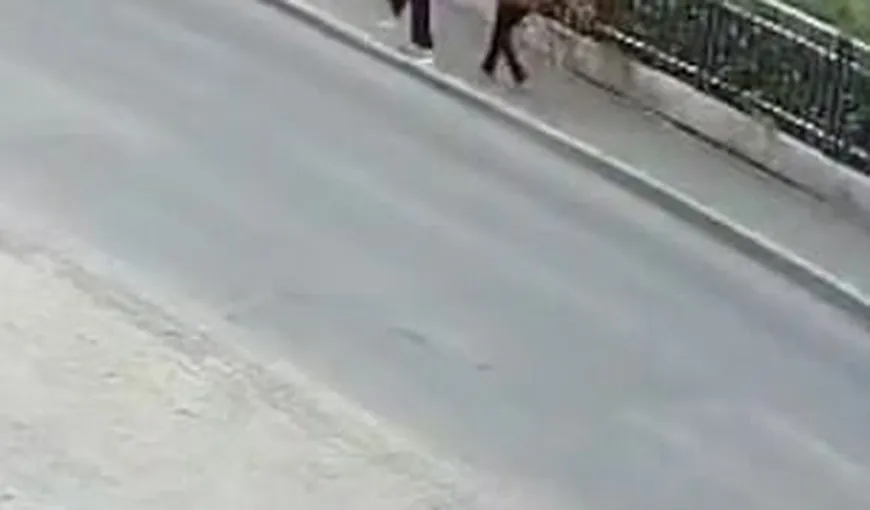 Înghiţite de asfalt, în timp ce mergeau pe trotuar. Momentul şocant în care două femei dispar sub şosea VIDEO