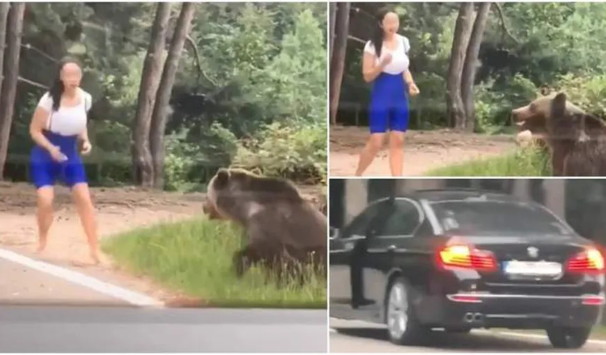 O tânără a fost la un pas să fie sfâşiată de un urs, pentru o poză VIDEO