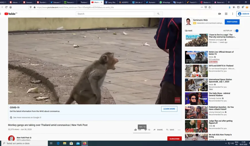 Imagini incredibile cu bandele de maimuţe agresive, care atacă oamenii. Le fură inclusiv măştile anti-coronavirus VIDEO