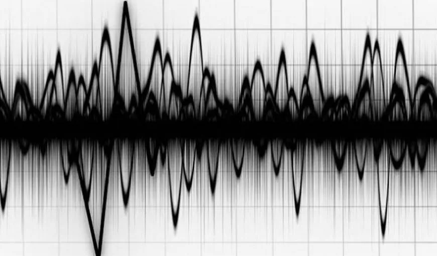 Cutremur în Vrancea, joi dimineaţă! Ce magnitudine a avut seismul