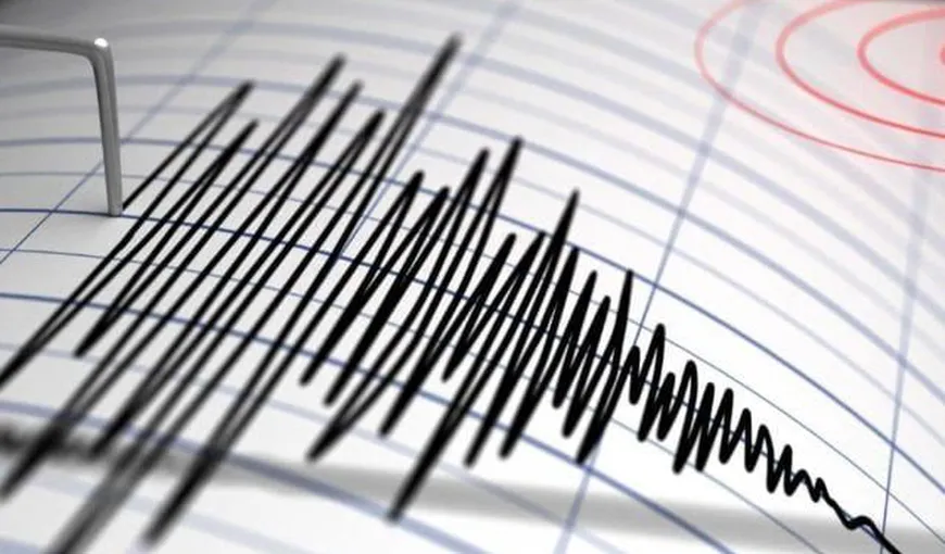 Cutremur în Vrancea, duminică dimineaţa. Ce magnitudine a avut seismul
