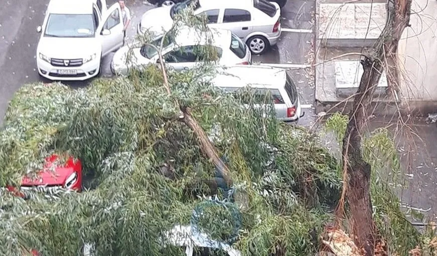 Furtună puternică la Craiova: Străzi inundate, maşini distruse de copac doborât de vânt VIDEO
