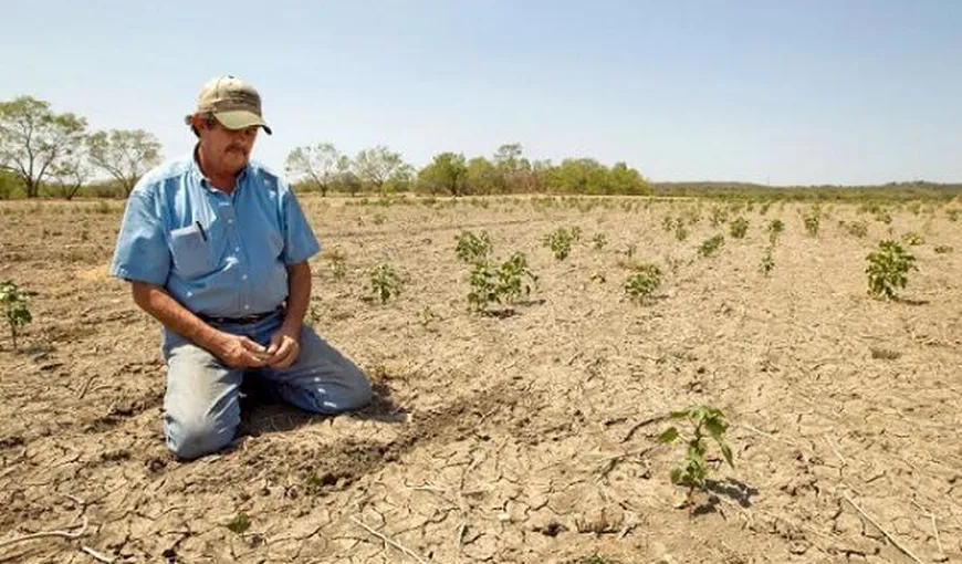 Oroş, anunţ important pentru fermierii afectaţi de secetă: Se pot înscrie pentru plată în 10 zile de la publicarea OUG