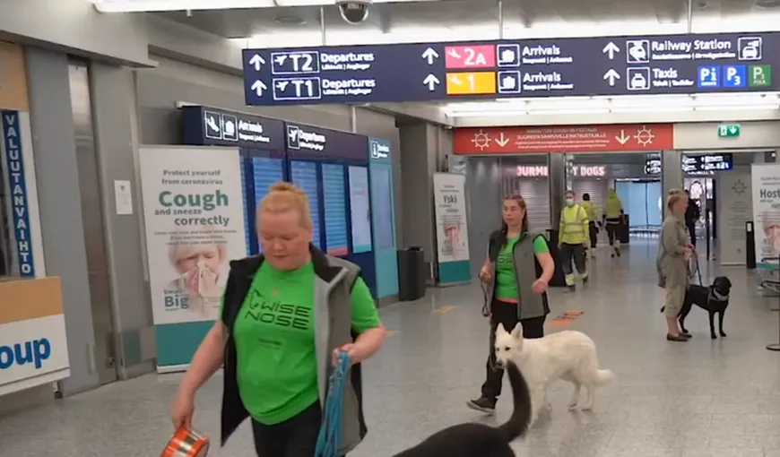 Aeroportul unde pasagerii infectaţi cu SARS-CoV-2 vor fi detectaţi cu ajutorul câinilor: „Vor fi mirosiţi”
