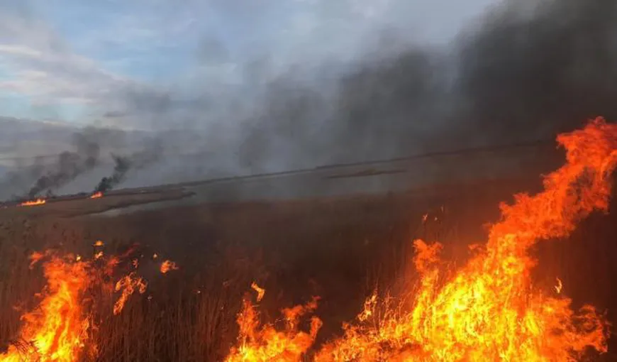 Incendiu de vegetaţie puternic în Prahova! Un bărbat a suferit arsuri pe aproape jumătate din corp