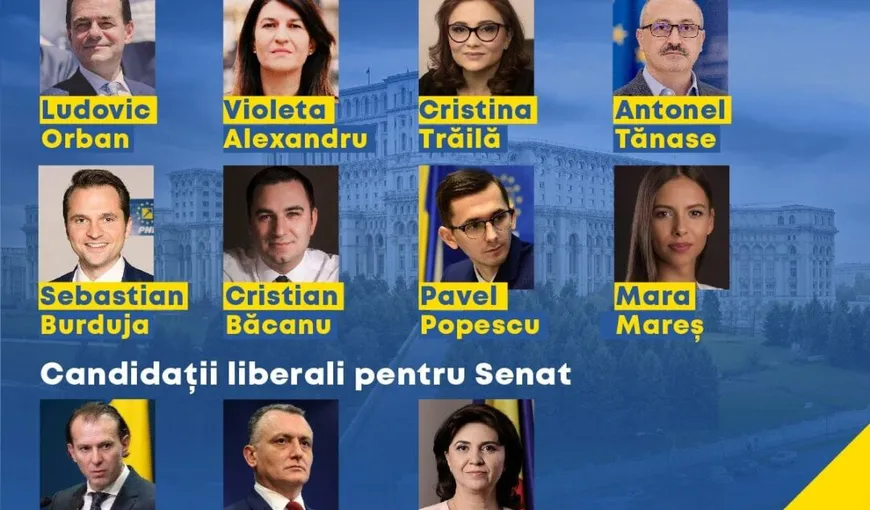 Candidaţii PNL la alegerile parlamentare 2020. Cine este cap de listă în Bucureşti