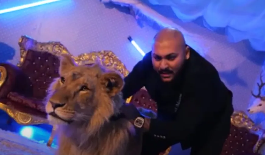 Dani Mocanu, acuzat că a filmat un videoclip cu un leu rănit şi subnutrit: „Dacă nu te-a oprit nimeni, te opresc eu!”
