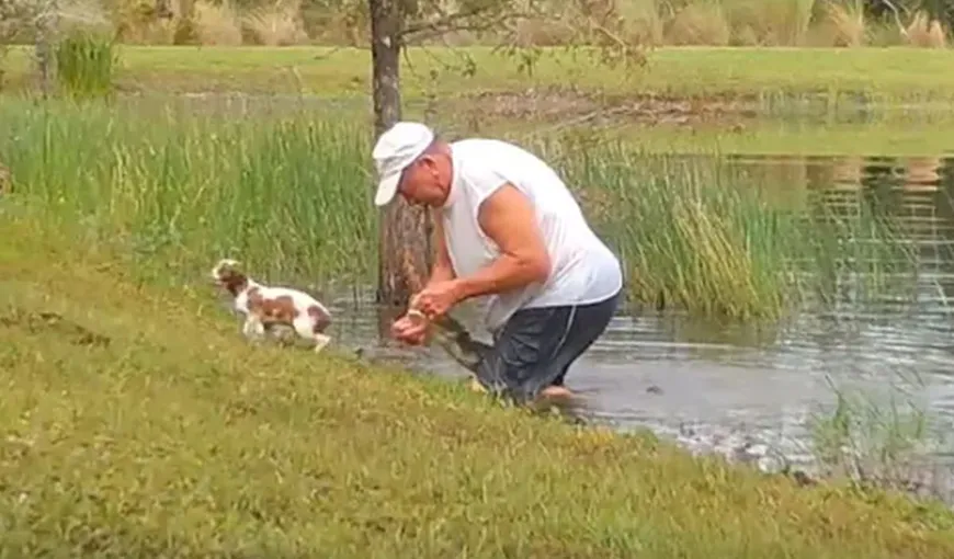 A intrat în apă pentru a-și scoate cățelușul din fălcile unui aligator. Eforturile bărbatului de a-și salva cel mai bun prieten au fost filmate (VIDEO)