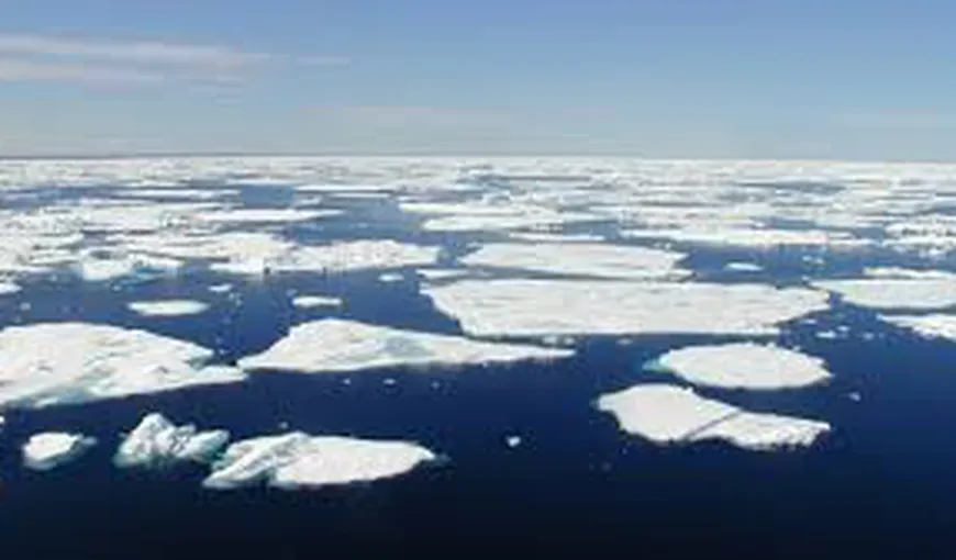 Lider ştiinţific al Staţiei Arctice: „200 de milioane de oameni vor fi nevoiţi să migreze din cauza schimbărilor climatice în 2050”