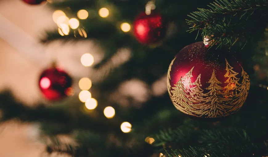 Abia împodobiseră pomul de Crăciun și se bucurau de atmosfera de sărbători. La scurt timp, familia a avut parte de un adevărat șoc! De necrezut ce au găsit în jurul bradului