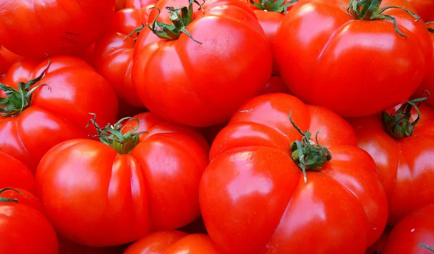 Programul „Tomata”, oprit. Nu va mai continua în 2021