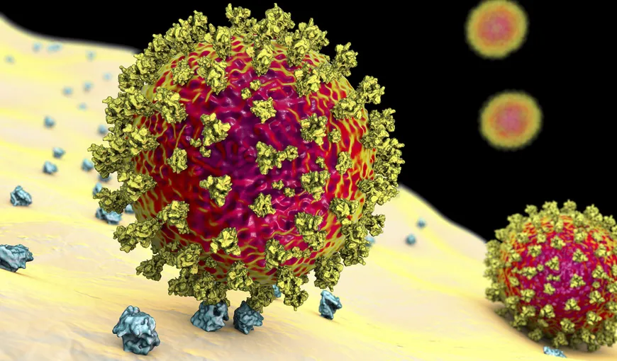 Virusul mutant se extinde îngrijorător în majoritatea ţărilor din Europa