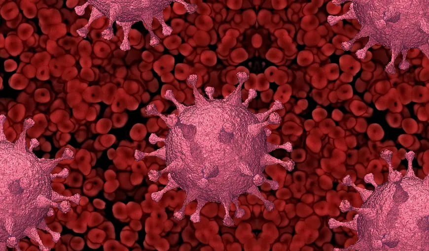 Oamenii de ştiinţă avertizează asupra virusului care ar putea provoca o nouă pandemie: „Ar putea încetini semnificativ procesul de dezvoltare a unui nou vaccin”