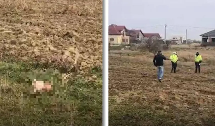 Descoperire ȘOCANTĂ lângă Timișoara. Un bărbat a găsit cadavrul unui bebeluș abandonat pe un câmp