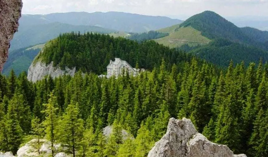Gelu Puiu, secretar de stat în Ministerul Mediului: Suprafaţa terenurilor împădurite din România creşte de la an la an. În momentul de faţă, avem 7.037.607 hectare împădurite