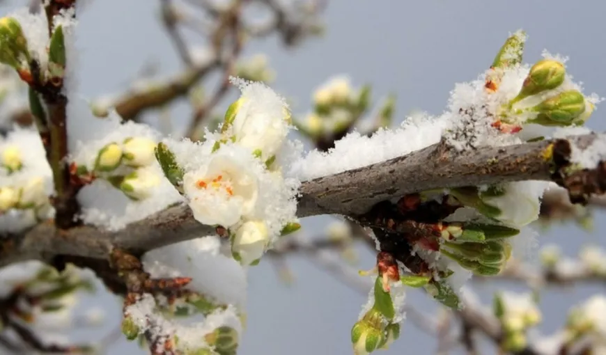 PROGNOZA METEO 15 APRILIE. Românii se vor bucura de vreme caldă în weekend, până atunci temperaturi scăzute