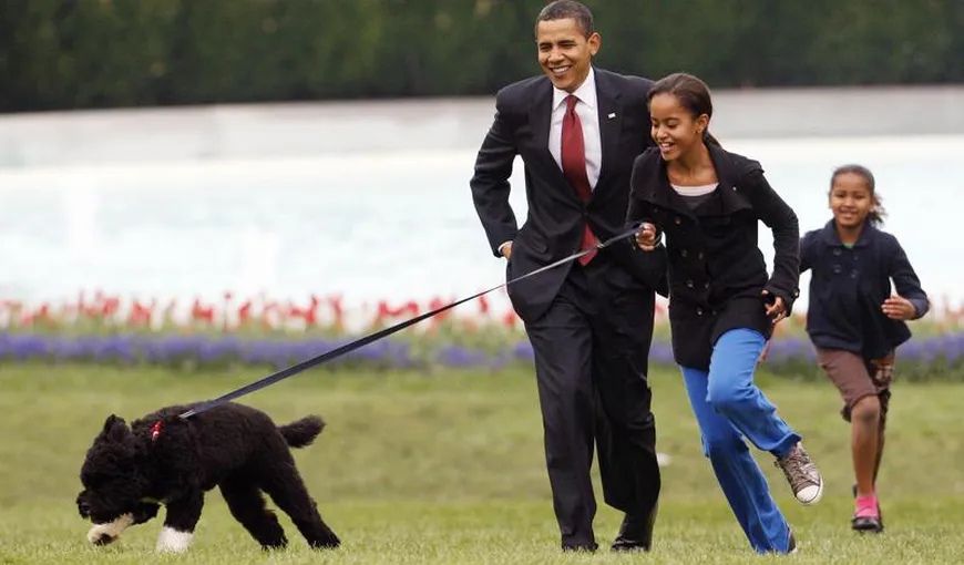 Bo, câinele lui Barack Obama, a murit de cancer. A fost unul dintre cei mai celebri căţei de la Casa Albă