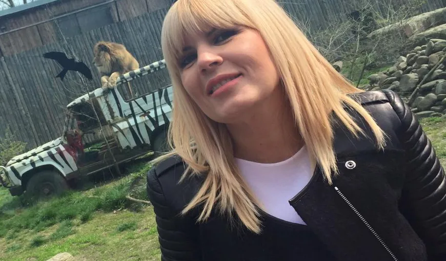 Imagini unice cu Elena Udrea. Fosta blondă de la Cotroceni, surprinsă în piaţă, în trening şi cu geantă Channel. Cum face fostul ministru al Turismului cumpărăturile în România – FOTO
