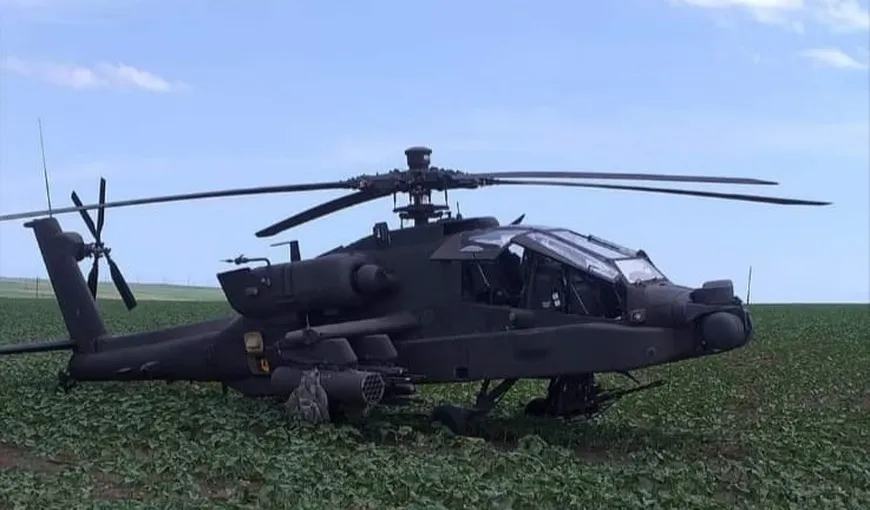 Elicopter aterizat de urgenţă într-un lan de rapiţă în Constanţa VIDEO
