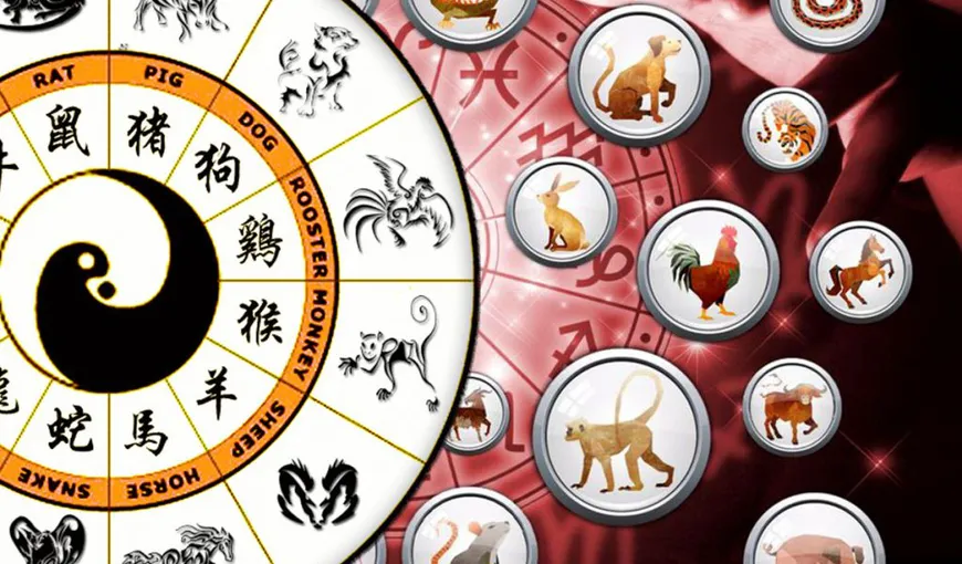 Zodiac CHINEZESC 24-30 mai 2021. Mesajul de la inteleptii din Orient pentru cele 12 zodii!