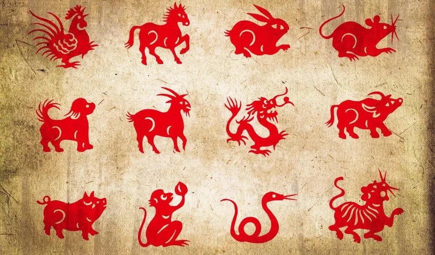 Zodiac chinezesc LUNAR mai 2022. Noi energii interpretate de inteleptii din Orient pentru zodia ta!