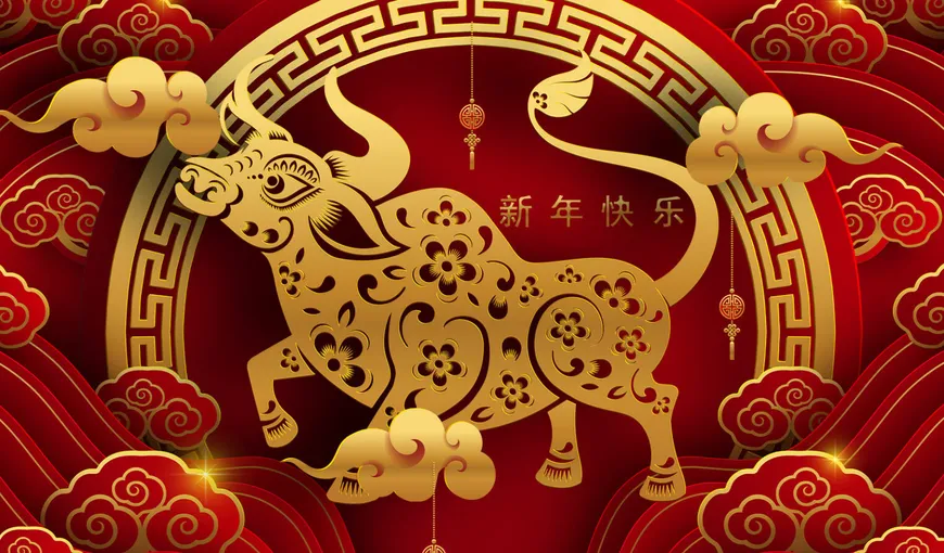 Zodiac CHINEZESC 20-26 decembrie 2021. Mesajul de la inteleptii din Orient pentru cele 12 zodii!