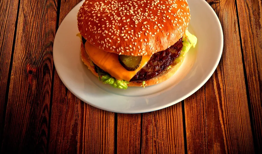 Așa arată un hamburger de la McDonald’s după 20 de ani: „Dumnezeule, nu s-a schimbat. E înspăimântător!” VIDEO