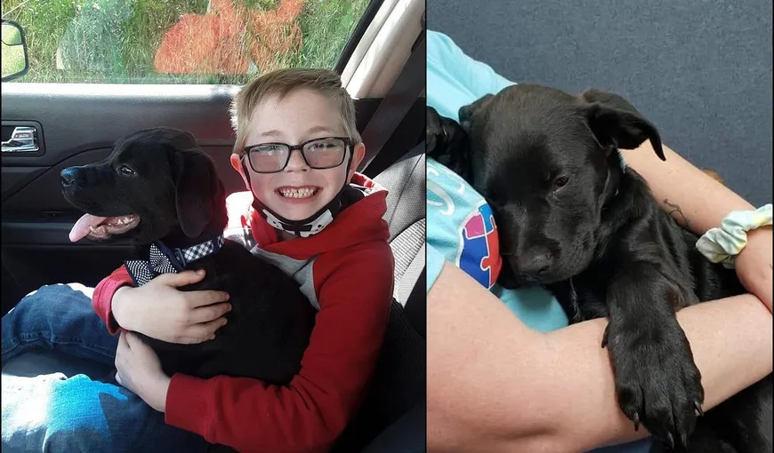 Gestul impresionant al unui băiețel de a-și salva câinele. „Nu am fi crezut că ar putea avea un asemenea impact. A fost cu adevărat incredibil!”