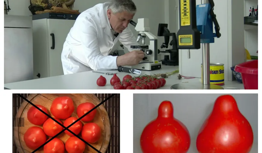 Roşii ţuguiate, pericol pentru sănătate? Cum recunoaştem tomatele crescute forţat cu substanţe chimice