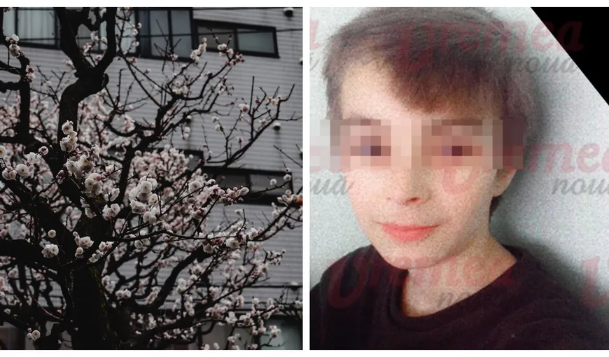 Tragedie în Vaslui! Elev de 14 ani, găsit spânzurat de cireșul din curtea casei, după o ceartă cu tatăl său