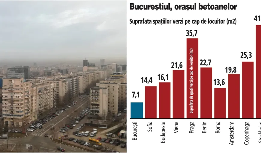 Studiu european. București, imperiul betoanelor. Este oraşul european cu cea mai mică suprafaţă de spaţii verzi pe cap de locuitor. Capitala încalcă Constituția