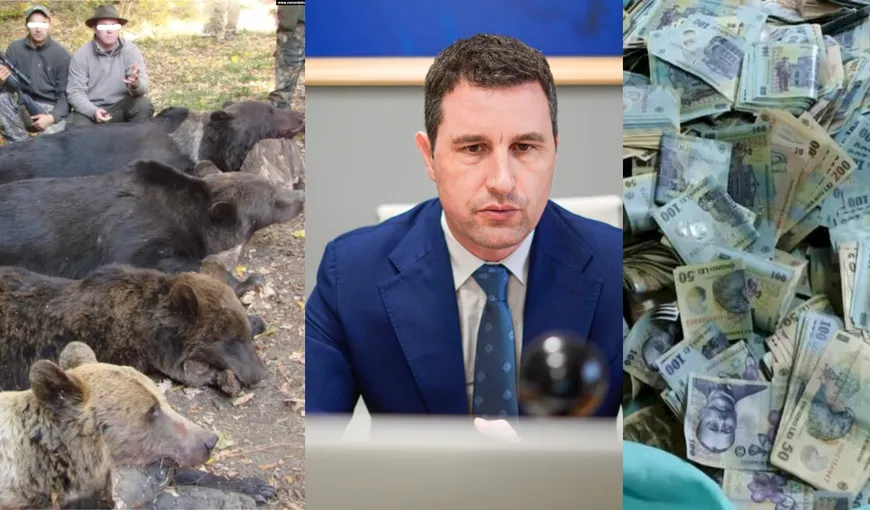 Ministrul Mediului publică OUG-ul care dă undă verde măcelului la urși. Barna ascunde faptul că vânătorii vor fi plătiți pentru uciderea urșilor