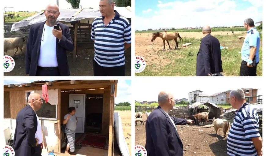 Cristian Popescu Piedone, descindere cu motocicleta printre oi: Oaia, calul, capra… la ferme sau la Zoo! Nu vreau sălbăticie în Sectorul 5!