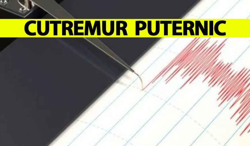 Cutremur în Bali! „Seismul a fost resimţit puternic timp de cinci secunde”
