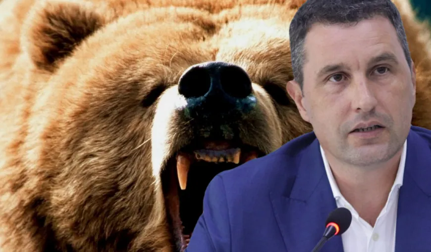Despăgubiri de 15.000 de euro pentru o persoană atacată de urs. Statul român a fost găsit responsabil
