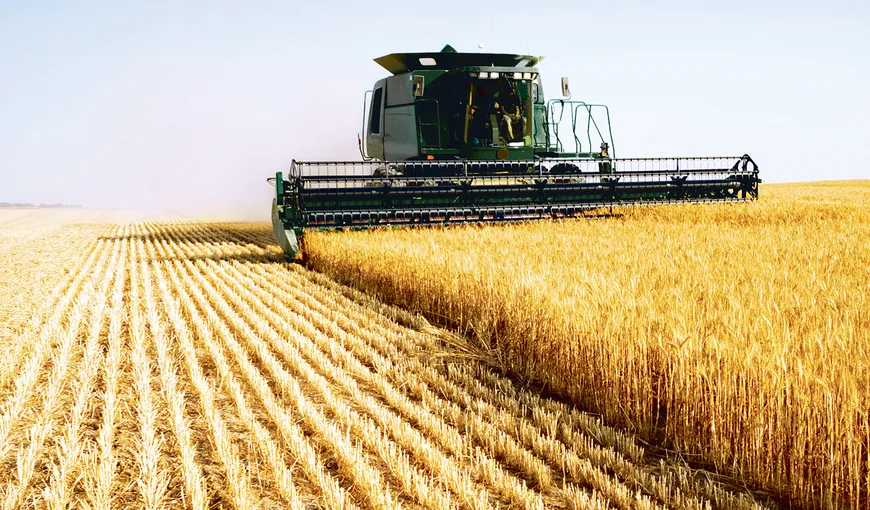 Mit spulberat. România are în 2021 o producţie de grâu de 7 ori mai mare faţă de perioada când era supranumită „grânarul Europei”