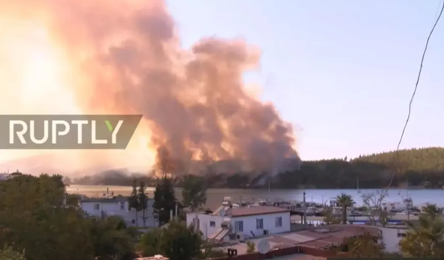 Incendii puternice în Turcia, în două dintre staţiunile preferate de români. Focul ar fi fost pus de o mână criminală VIDEO