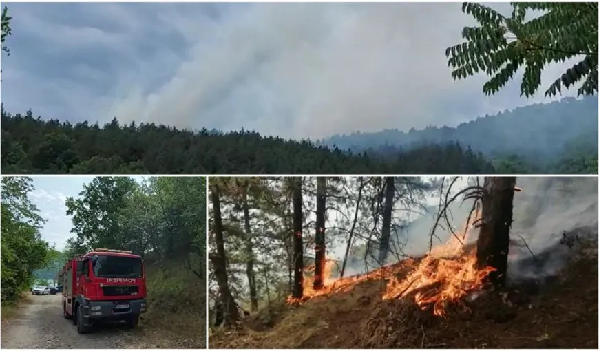 Incendiu uriaș în Parcul Naţional Porţile de Fier! Pompierii sting flăcările cu lopata