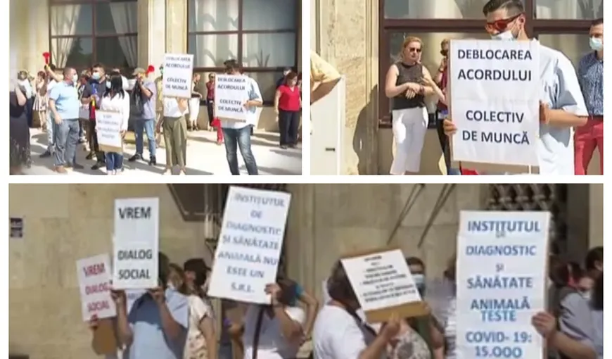 Protest la ANSVSA. Angajaţii spun că s-au săturat de abuzuri şi cer creşterea salariilor