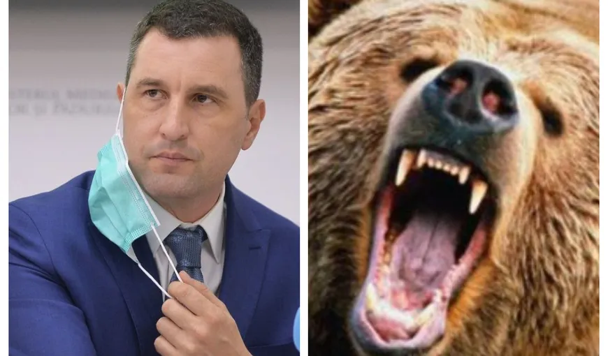 Ministrul Mediului, prima reacţie după ce un tânăr de 26 de ani a fost ucis de urs: „Este un pericol real astăzi în România”